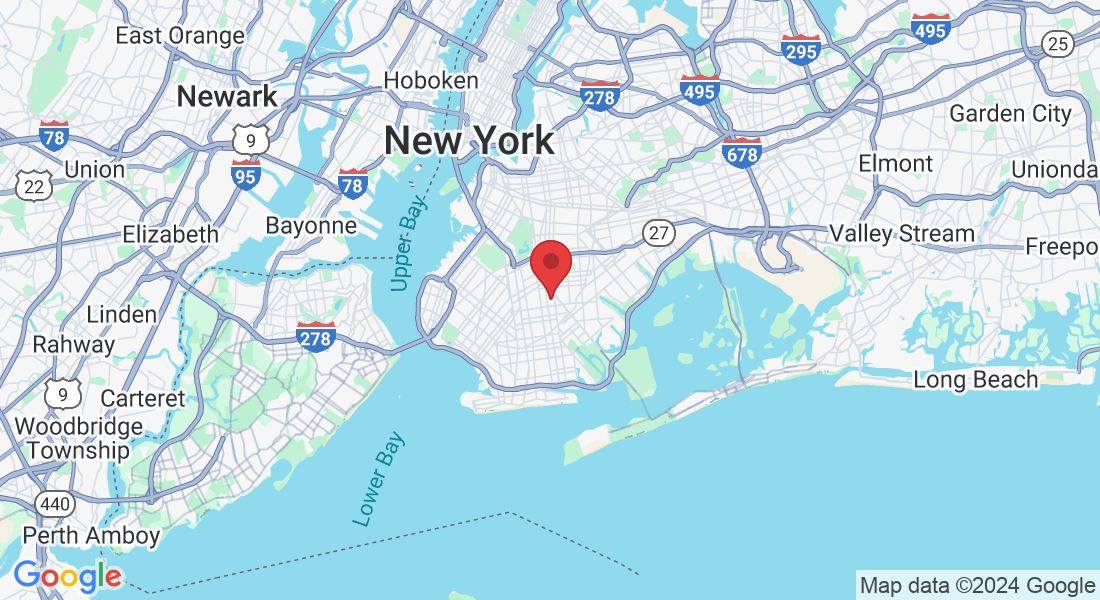 875 E 27th St, Brooklyn, NY 11210, USA