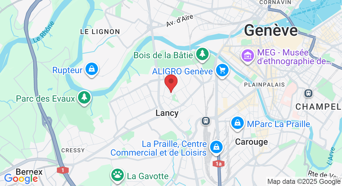 Petit Lancy, 1213 Lancy, Suisse