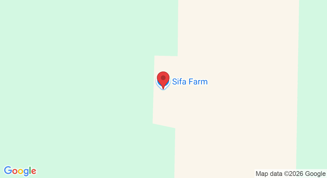 1967 Co Rd 1112, Farmersville, TX 75442, USA
