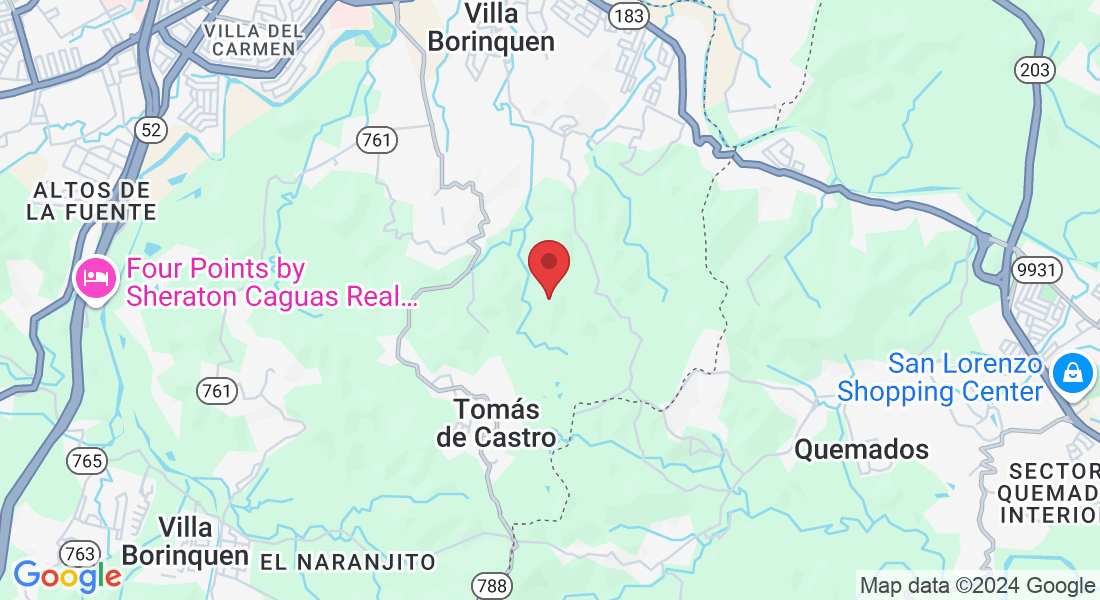 Tomás de Castro II, Caguas, Puerto Rico