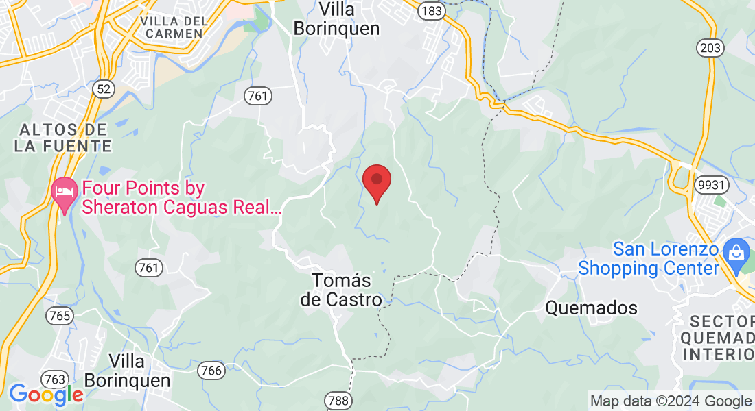 Tomás de Castro II, Caguas, Puerto Rico