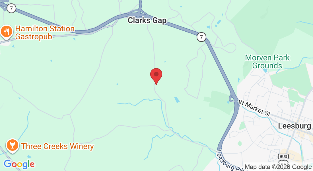 17806 Dry Mill Rd, Leesburg, VA 20175, USA