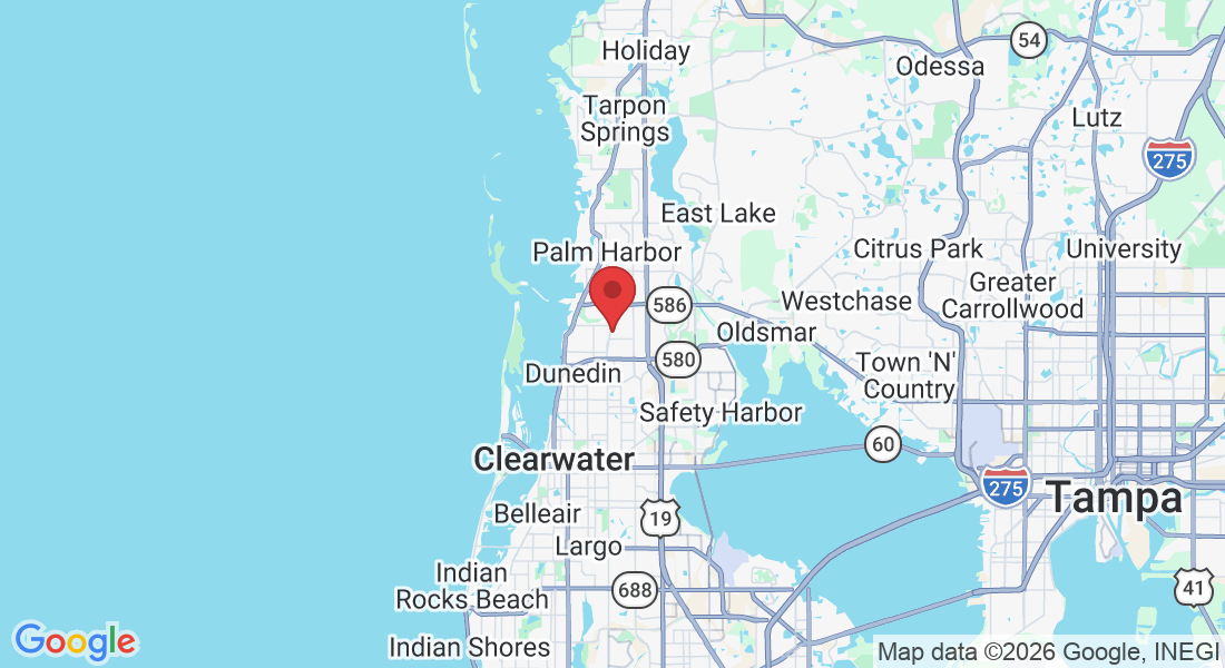 1890 Del Oro Ct, Dunedin, FL 34698, USA