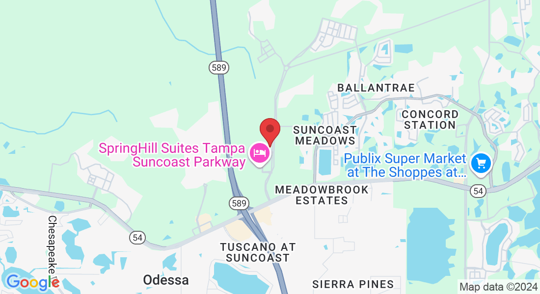 16703 Early Riser Ave Suite #TR3, Land O' Lakes, FL 34638, USA