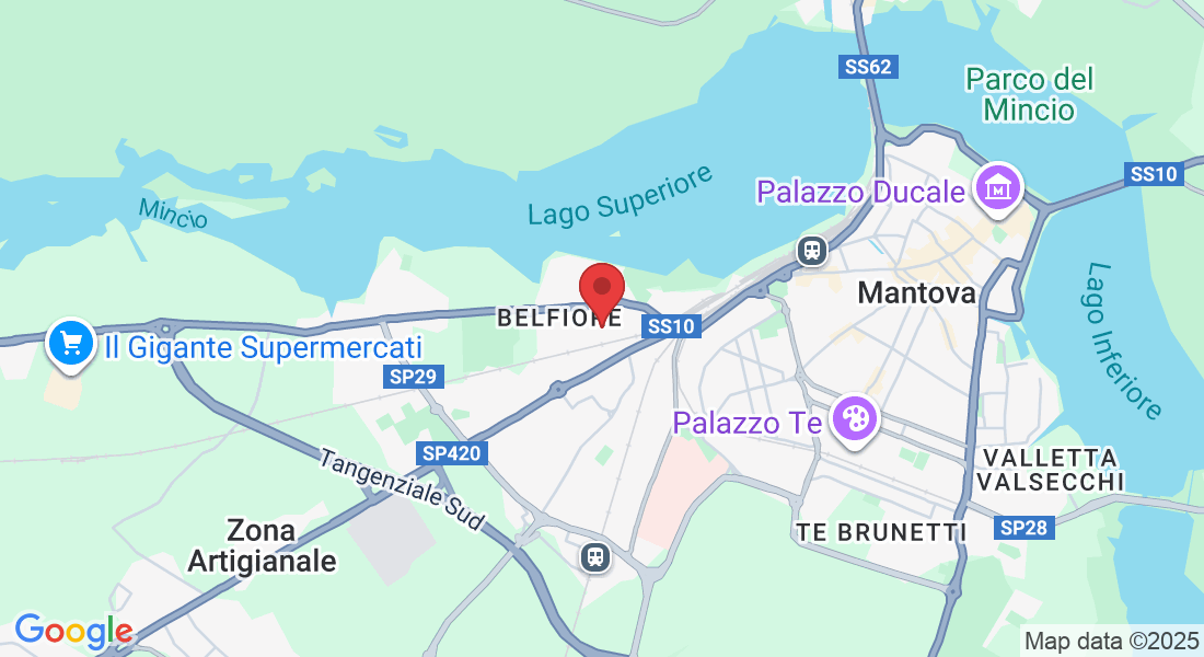 Via Napoleone Mambrini, 1, 46100 Mantova MN, Italia