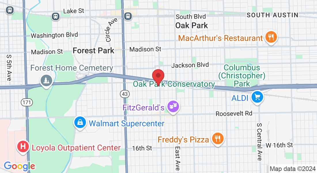 917 S Oak Park Ave b, Oak Park, IL 60304, USA