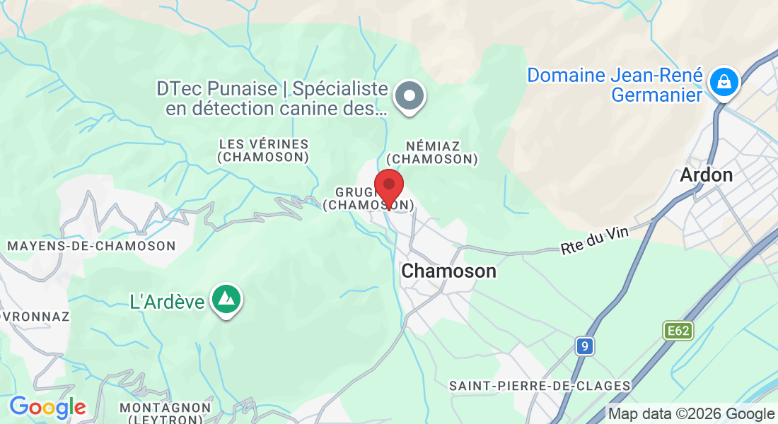 Rte de Tsavez 17, 1955 Chamoson, Switzerland