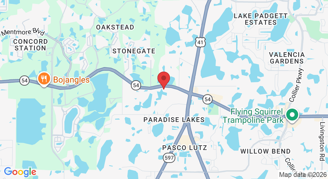 2425 Brunello Trce, Lutz, FL 33558, USA