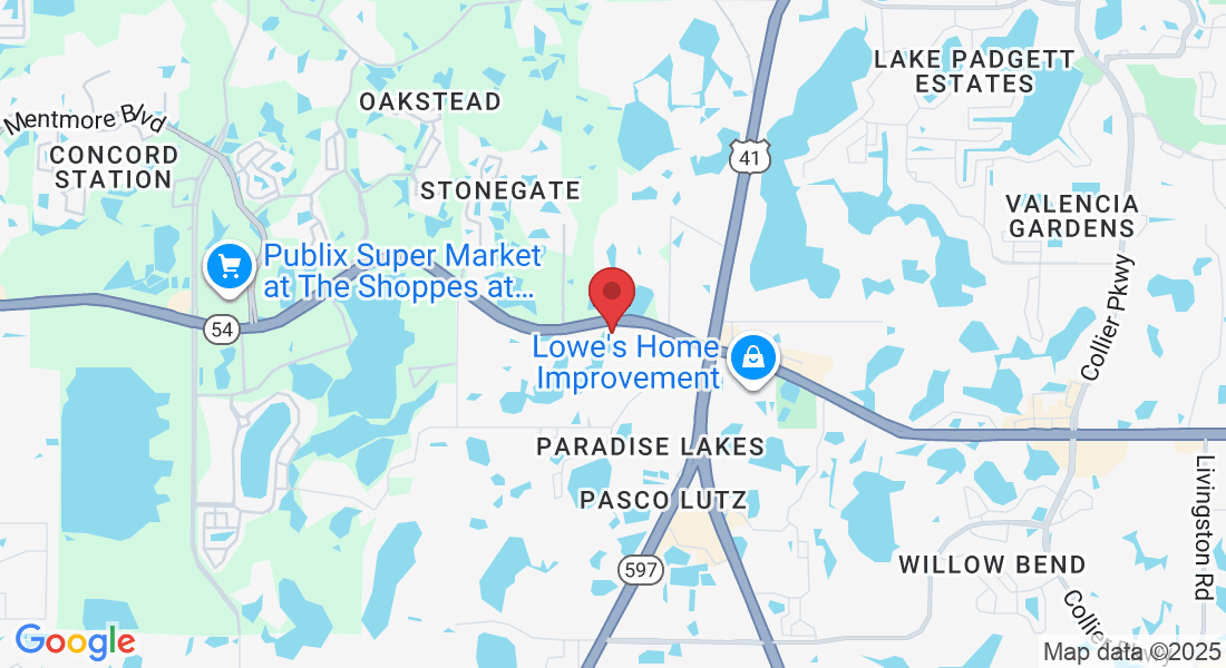 2425 Brunello Trce, Lutz, FL 33558, USA