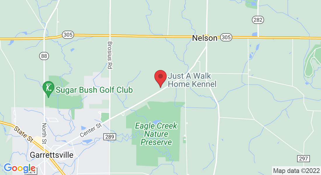 Contact us at just a walk home kennel