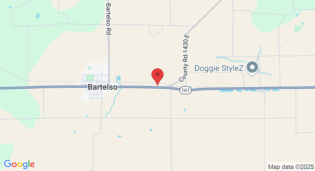 1509 Carlyle Rd, Bartelso, IL 62218, USA