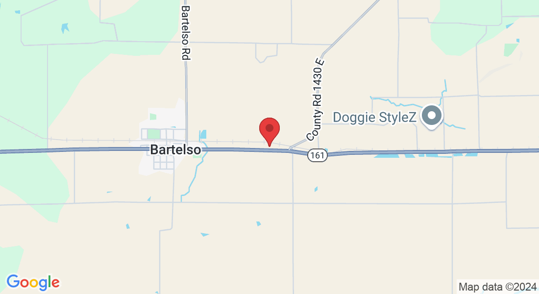 1509 Carlyle Rd, Bartelso, IL 62218, USA