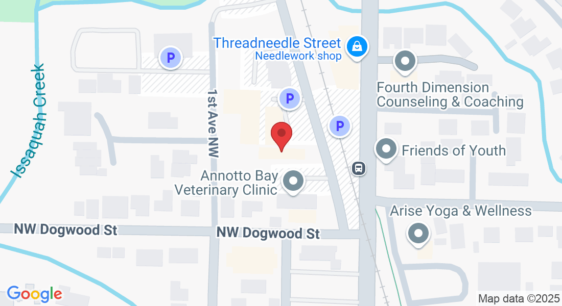 Mia's Eyelash Boutique Issaquah