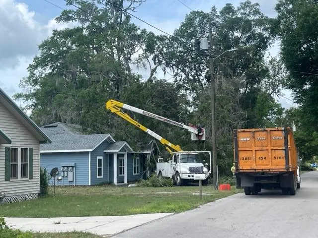 Residential Tree Services for Homeowners