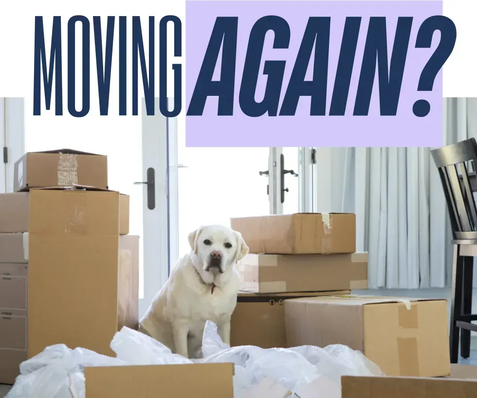 What’s the #1 PCS Planning Tip You Swear By?