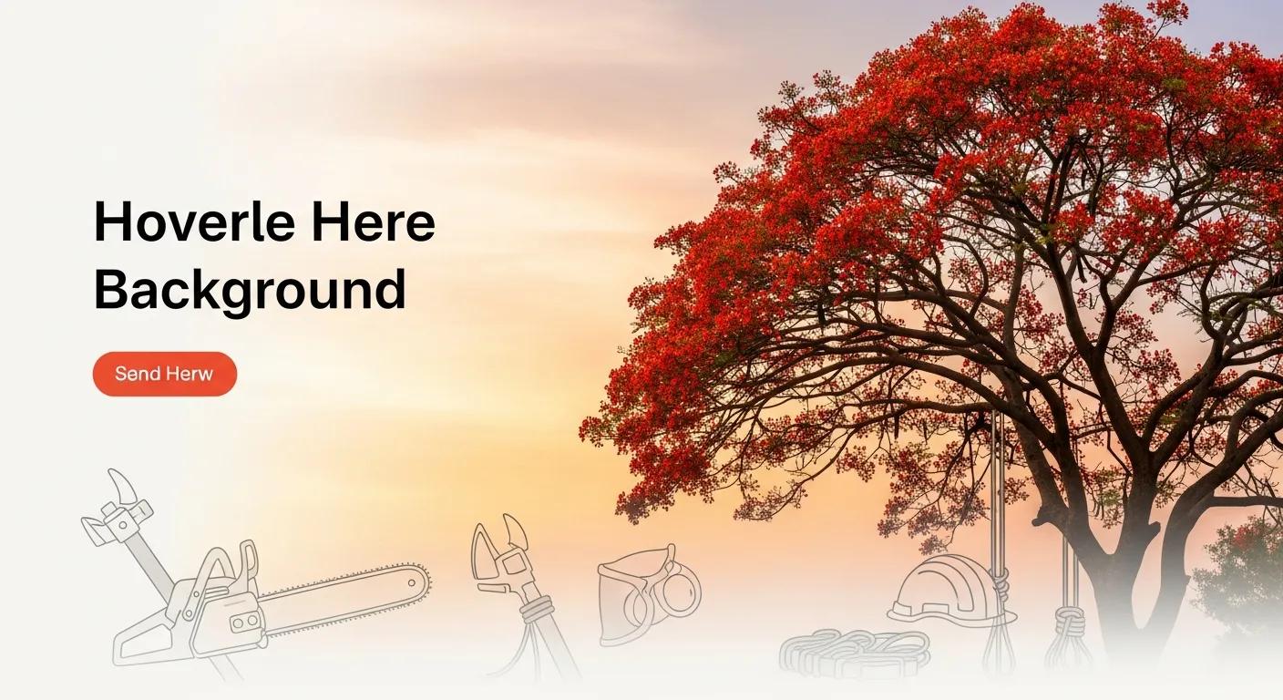 Phoenix Tree Removal Permits & Regulations Guide