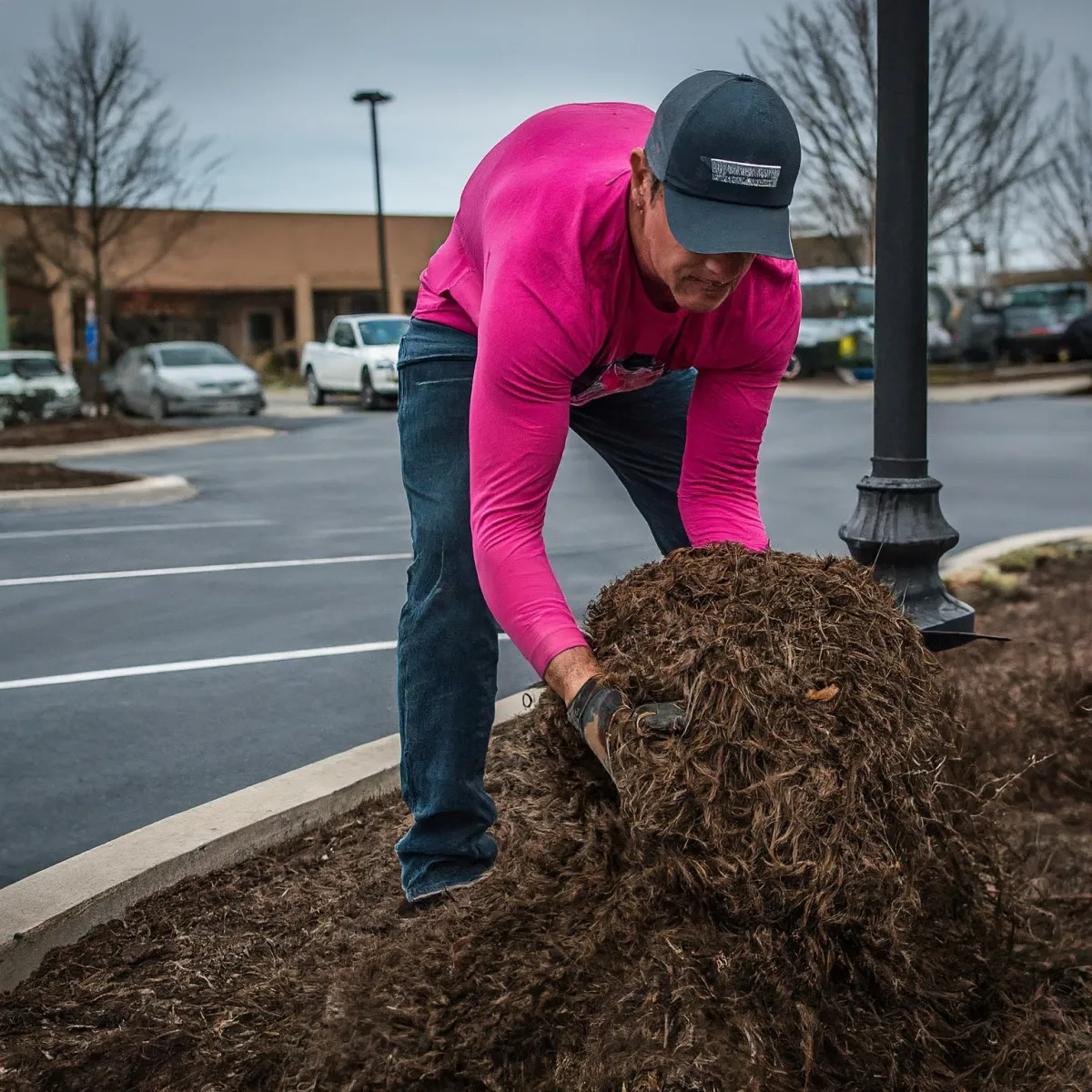 Commercial Landscaping