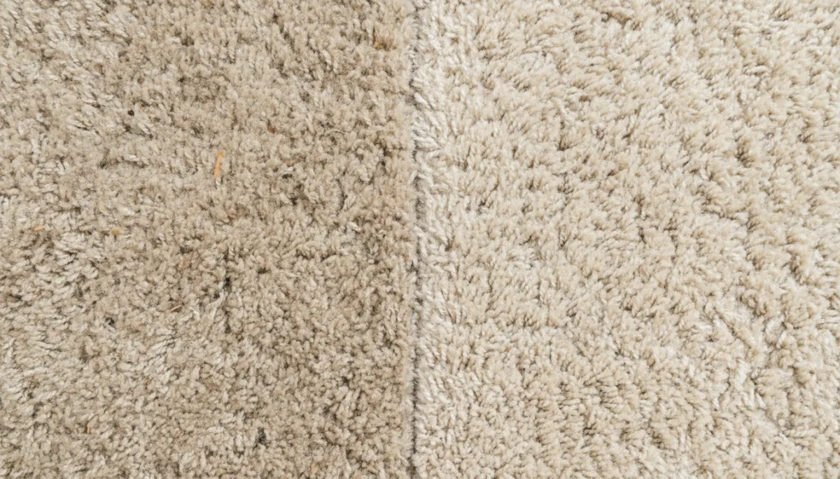 Add 2 additional unique images to this blog post about whether to replace or professionally clean your carpet. Do not remove or change any existing images or text. Place new images at natural content break points — for example, one near the section about signs your carpet can be saved with cleaning, and one near the cost comparison section. Each new image must be completely different from any existing image in the post. Generate photorealistic images relevant to the section they appear near. Suggested image concepts: (1) A close-up overhead shot of carpet fibers — one section visibly dirty and matted, the adjacent section clean and fluffy — illustrating the difference between soiled and restored carpet. (2) A homeowner reviewing a notepad or tablet showing cost numbers, looking relieved, sitting in a carpeted living room — illustrating the cost savings of cleaning vs replacement. All images must be unique from each other and from any existing images in the post.. Context: This is for a blog post about "Should You Replace or Clean Your Carpet? A Practical Guide for Hemet Homeowners". Style: Professional quality, photorealistic, high resolution