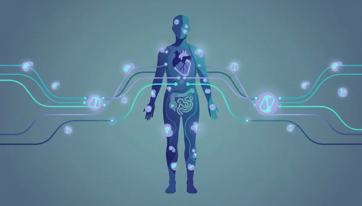 Modern clean illustration of metabolic health systems influenced by hydrogen therapy