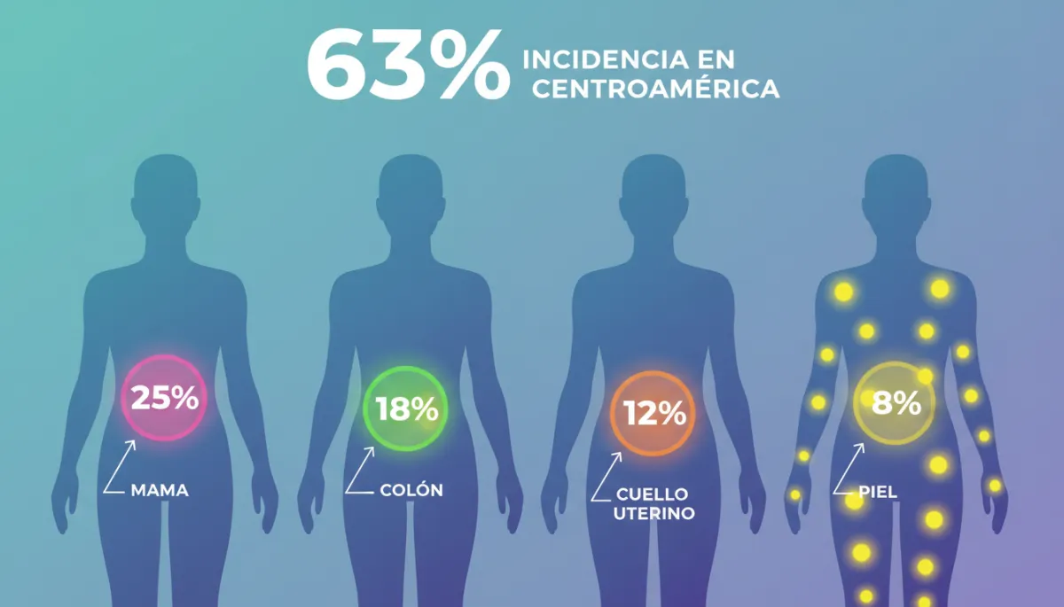 Infografía sencilla mostrando siluetas de cuerpo humano con marcadas las zonas de mama, colon, cuello uterino y piel, acompañada de porcentajes de incidencia en Centroamérica Infografía sencilla mostrando siluetas de cuerpo humano con marcadas las zonas de mama, colon, cuello uterino y piel, acompañada de porcentajes de incidencia en Centroamérica