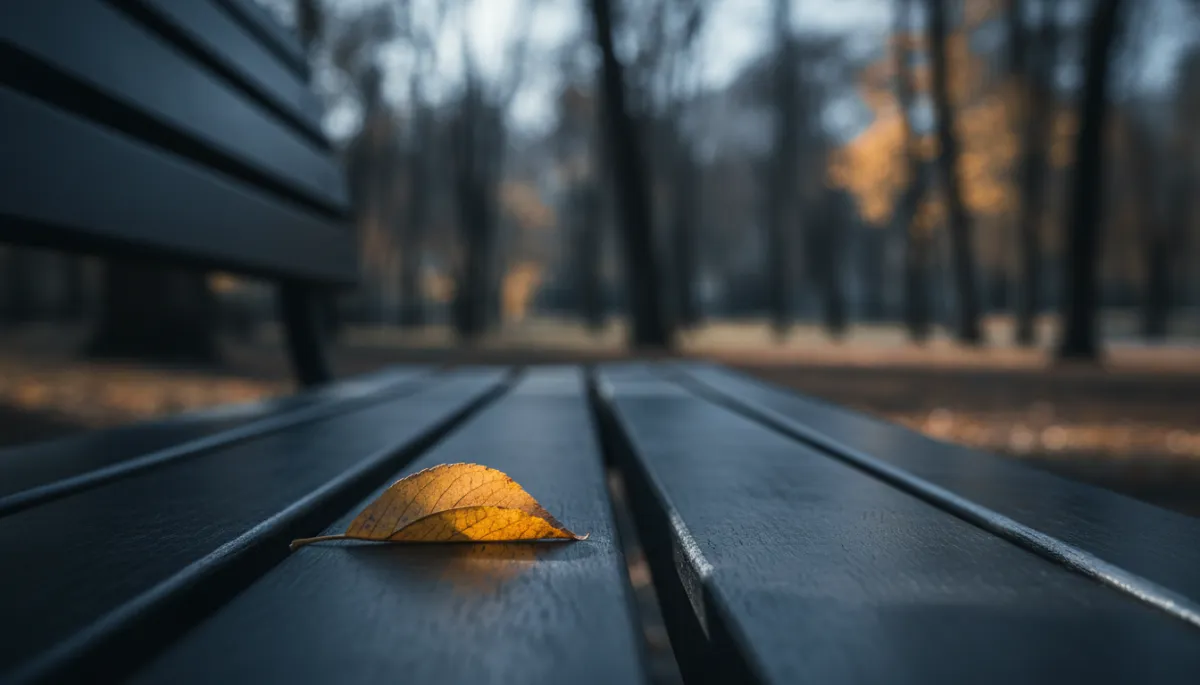 Single golden leaf on a bench in cool autumn light