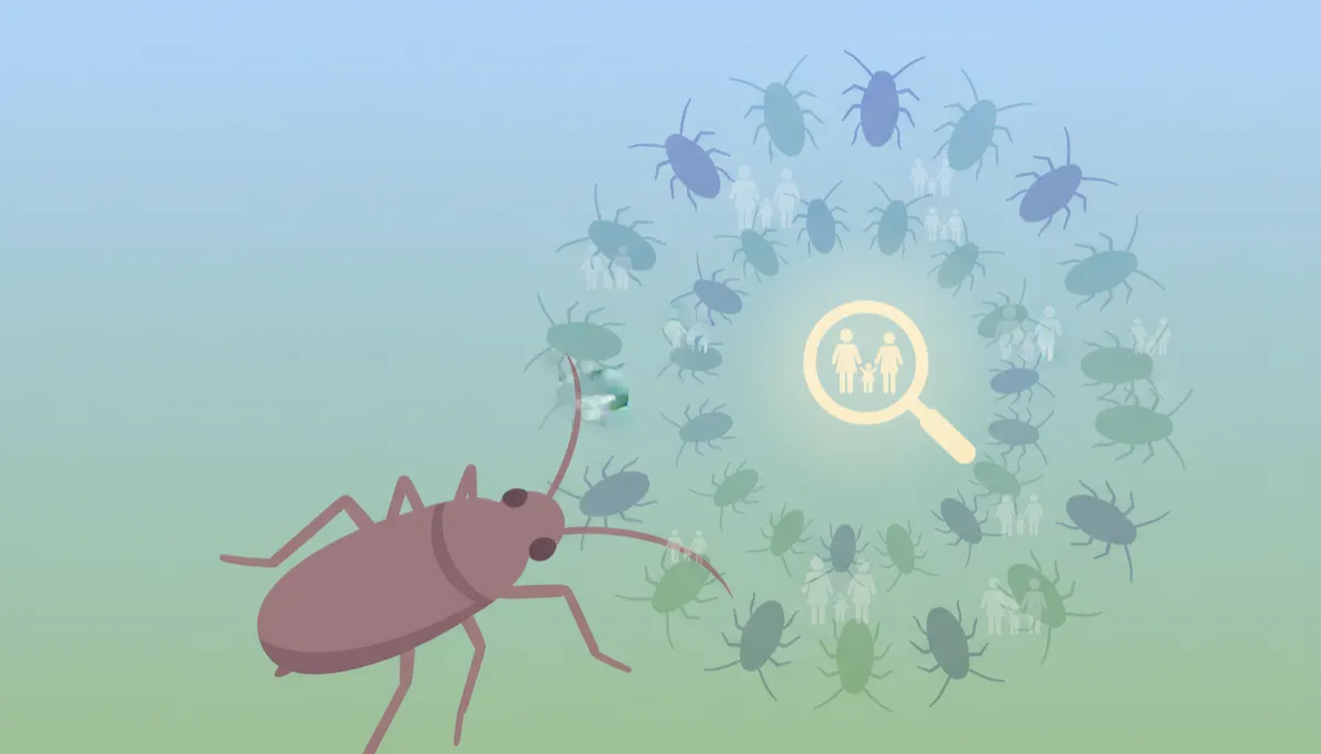 Why Head Lice Keep Returning: Common Mistakes