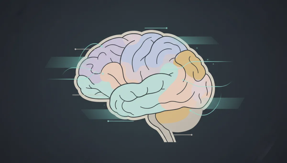 Professional quantitative EEG brain map visual representing personalised brain activity patterns