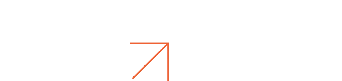 Business Flow Group Logo