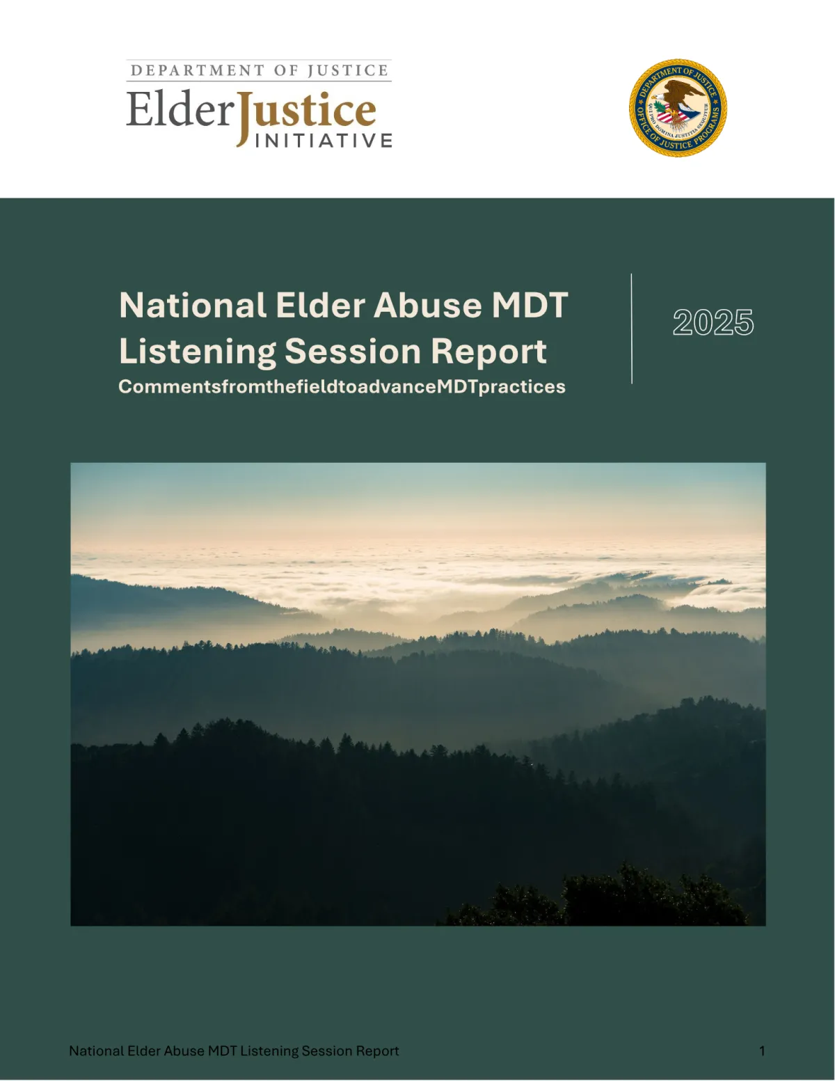 2025 National Elder Abuse MDT Listening Session Report thumbnail