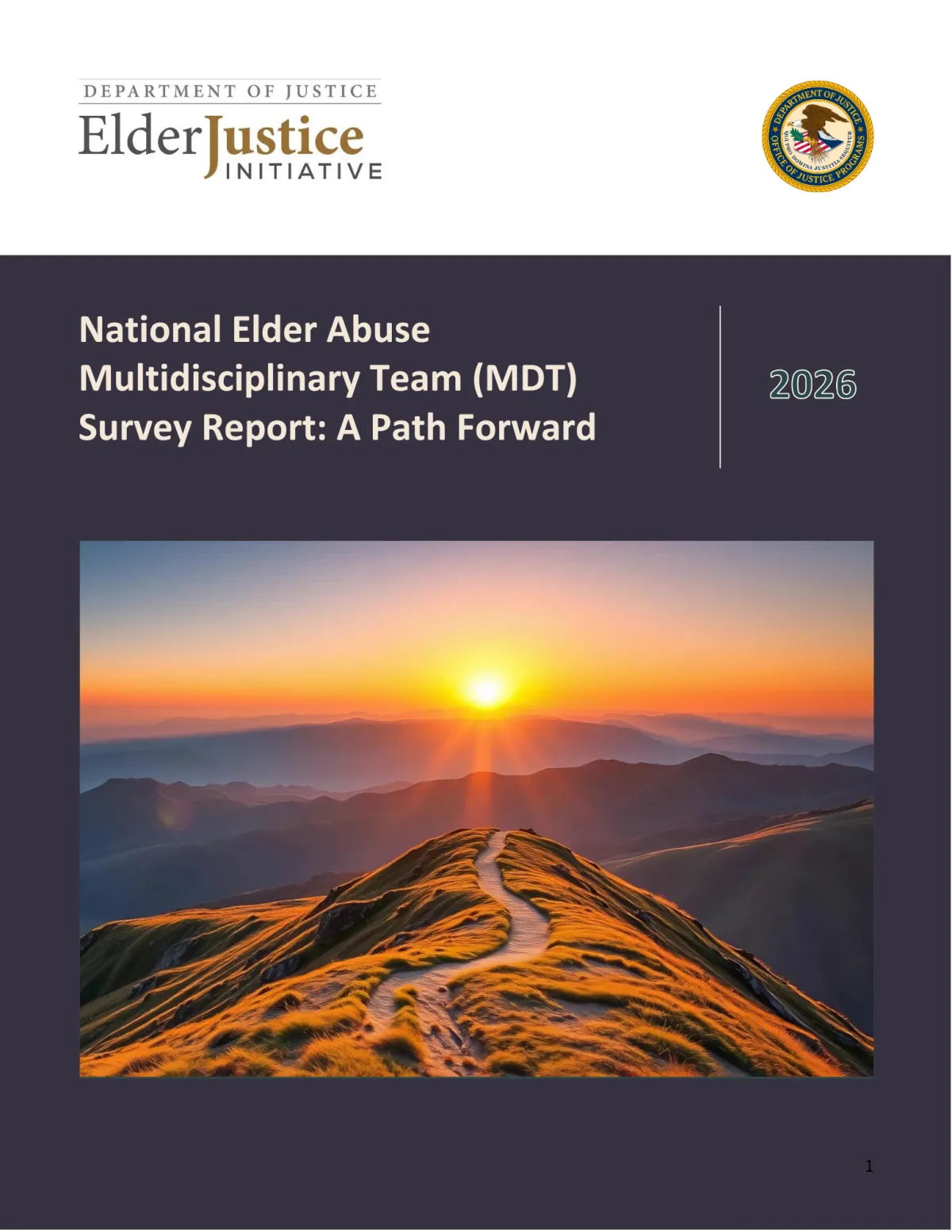 2026 National Elder Abuse Multidisciplinary Team (MDT) Survey Report: A Path Forward thumbnail