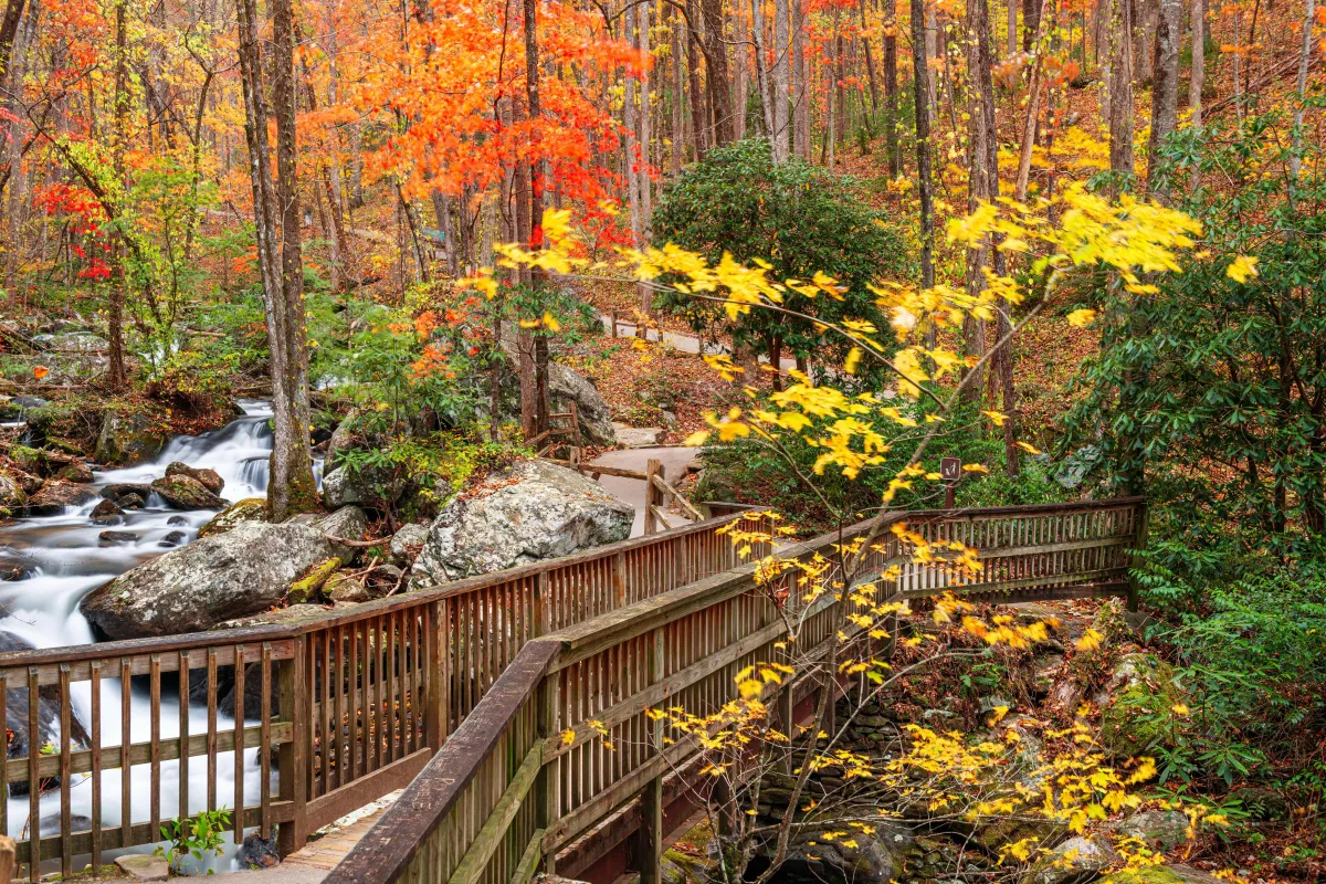 Conservation & Parks