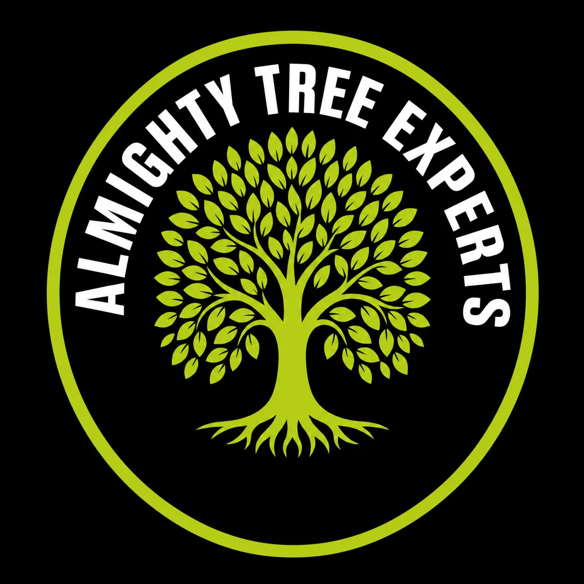 Ray Tree Removal Logo