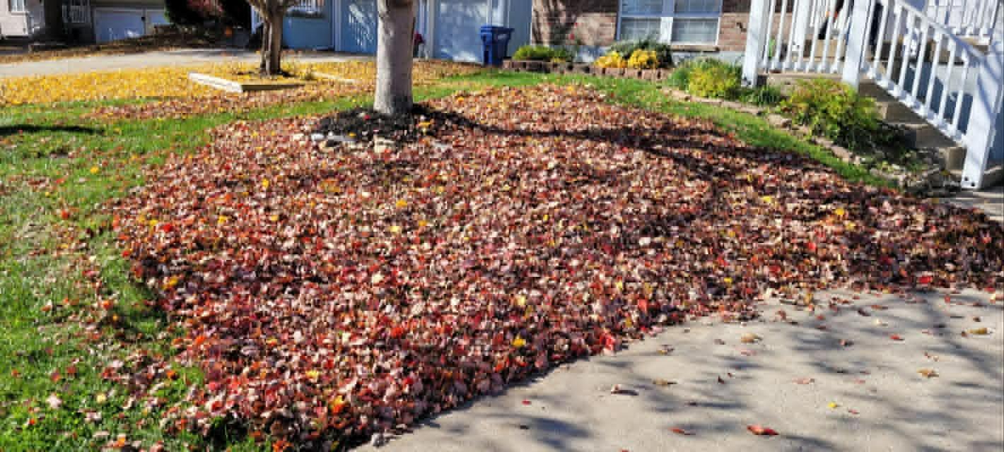 Landscape Design Services