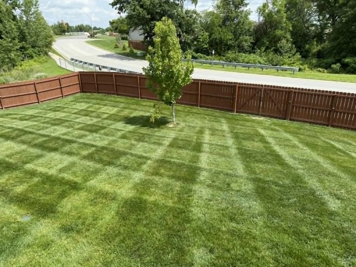 Landscape Design Services