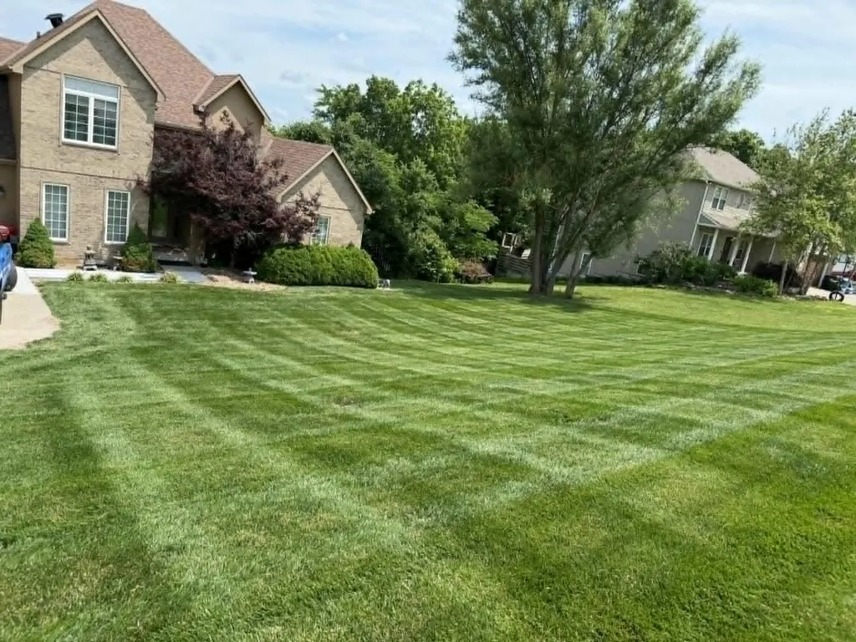 Lawn Maintenance Services