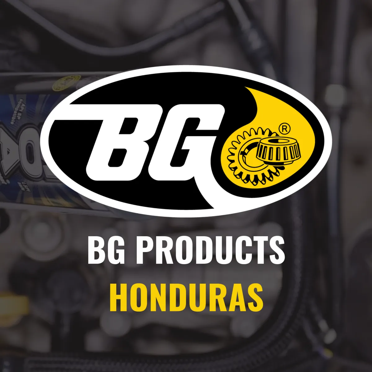 Logotipo BG Products