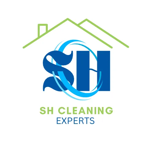 House Cleaning Survey logo