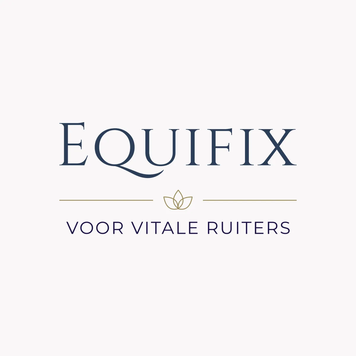 Fysieke balanstraining voor ruiters