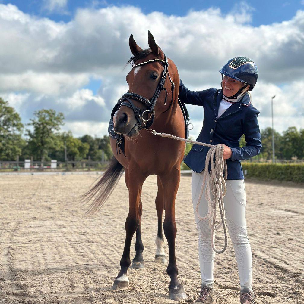 Paard-Ruiter communicatie optimalisatie