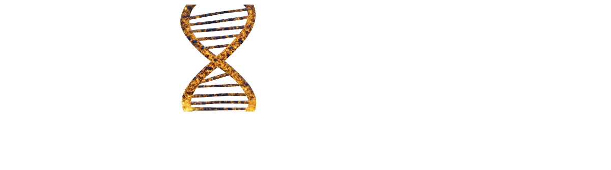 Life Xpansion Code
