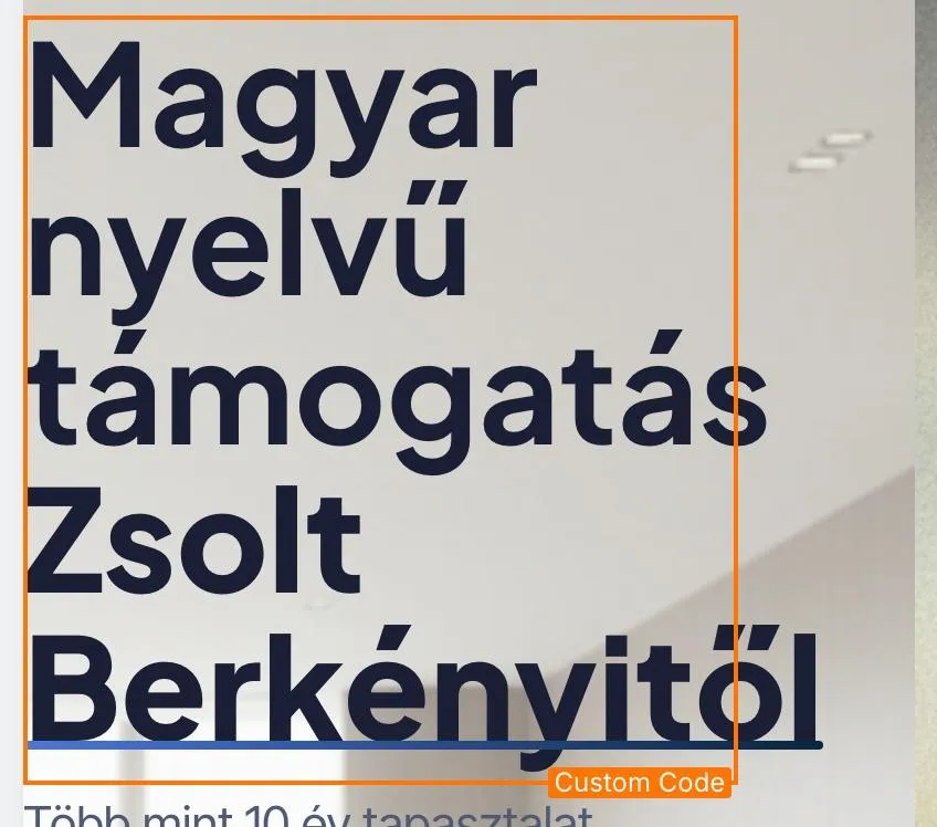 Berkényi Zsolt portréja