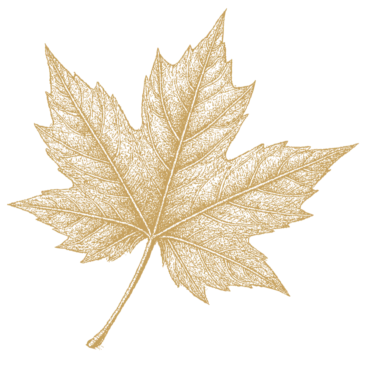 Sycamore Grove Counseling Maple Leaf