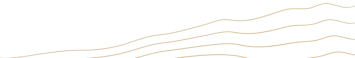 Close-up view of thin, wavy gold lines on a black background.