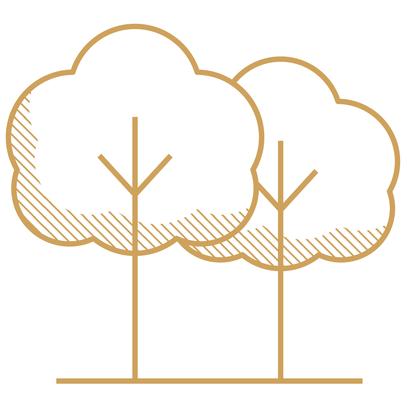 Outline of two trees with decorative brown outline on black background.