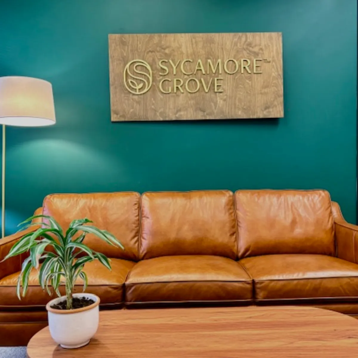 Sycamore Grove Therapy Office Couch and Sign