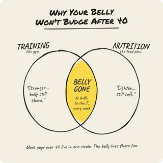 Why Your Belly Won't Budge After 40 Venn Diagram