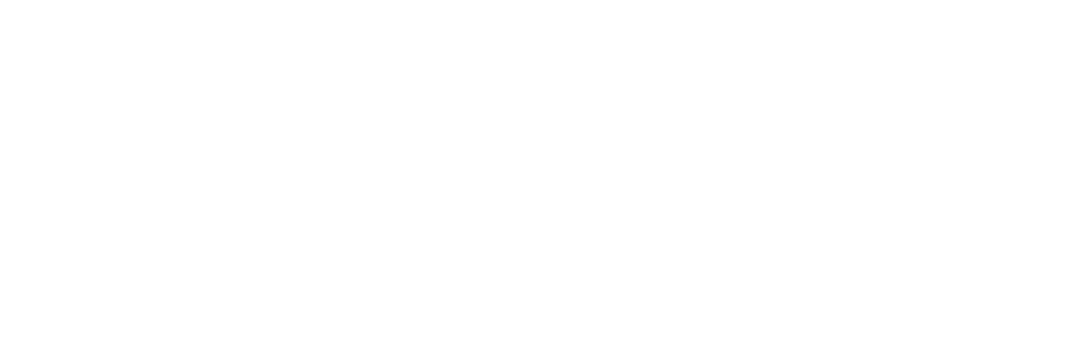 Reality Lifeline Academy