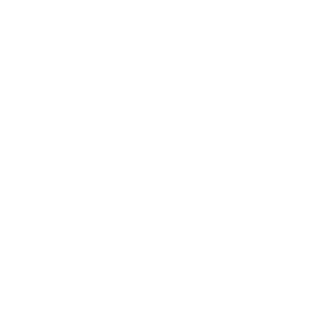 LV INVERSIONES INMOBILIARIAS