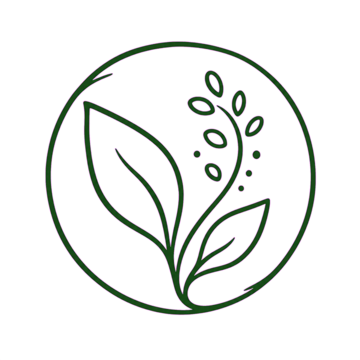 The Botanical Edit