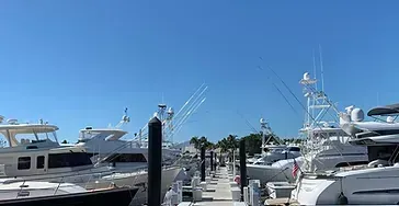 Marina Fleet Electronics Project